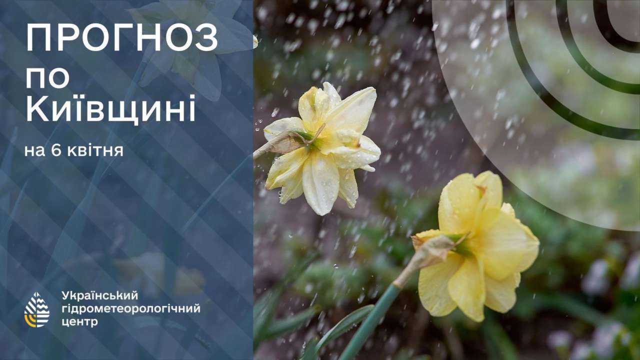 Прогноз погоды на 6 апреля. Киев и область: будет дождь, местами гроза -  МЕТА