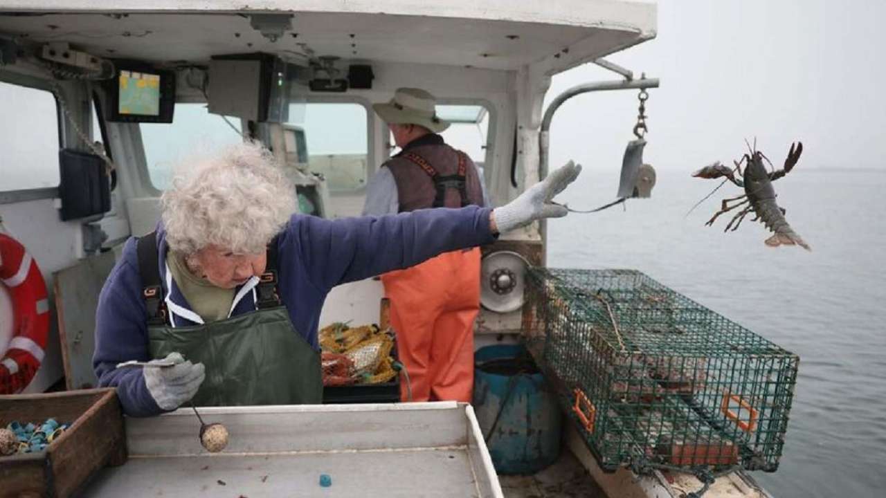 101-летняя бабушка выбросила в море омара и стала героиней мемов. Фото -  МЕТА