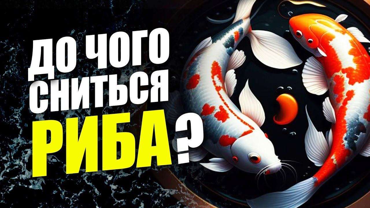 К чему снится рыба? Значение сновидения для женщин и мужчин - МЕТА