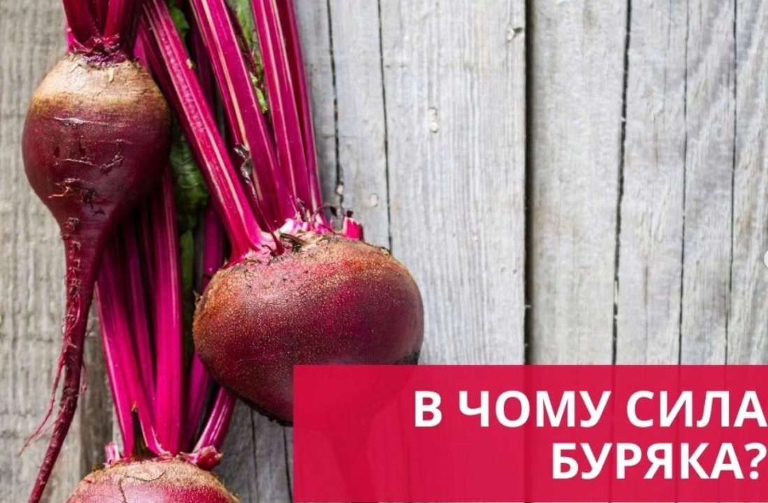 В чем сила свеклы? Каковы ее преимущества для здоровья? (ИНФОГРАФИКА) - МЕТА