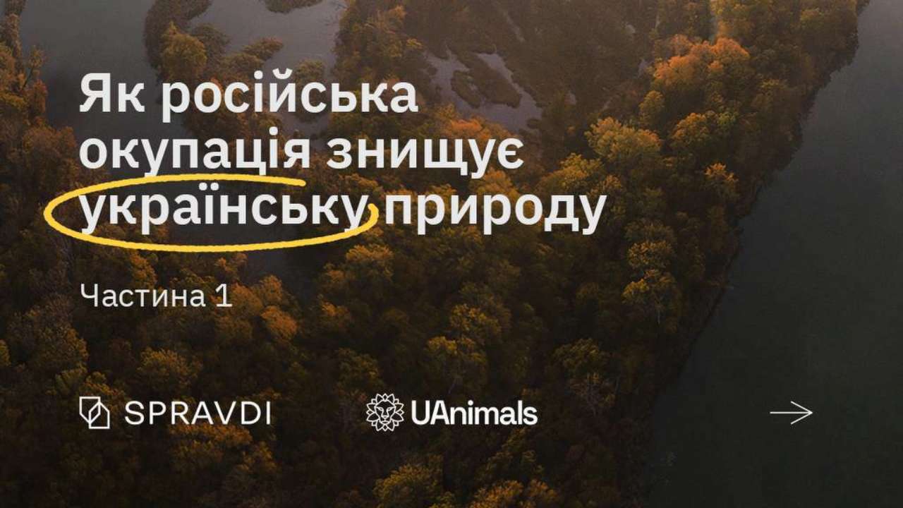 российские оккупанты уничтожают украинскую природу: выгоревшие заповедники,  убитые животные - МЕТА