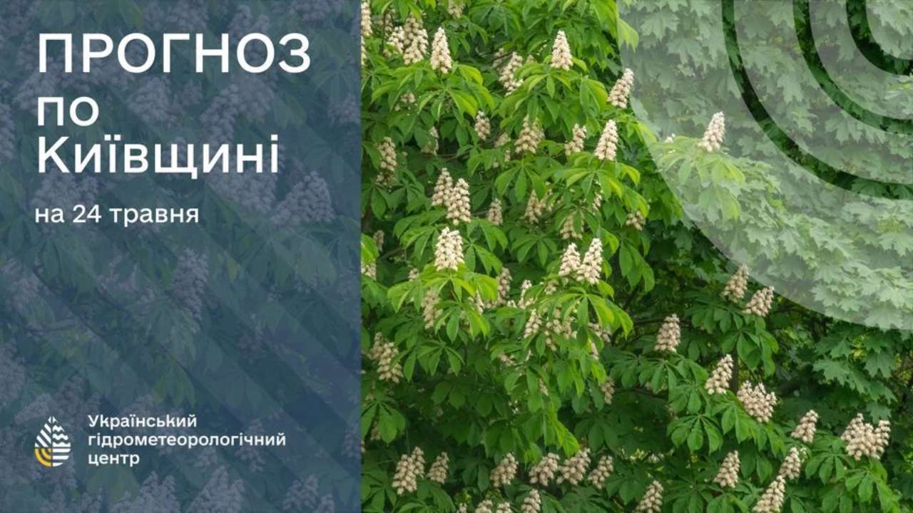 Прогноз погоды на 24 мая Киев и область: Киев 24-26° и область 21-26° - МЕТА