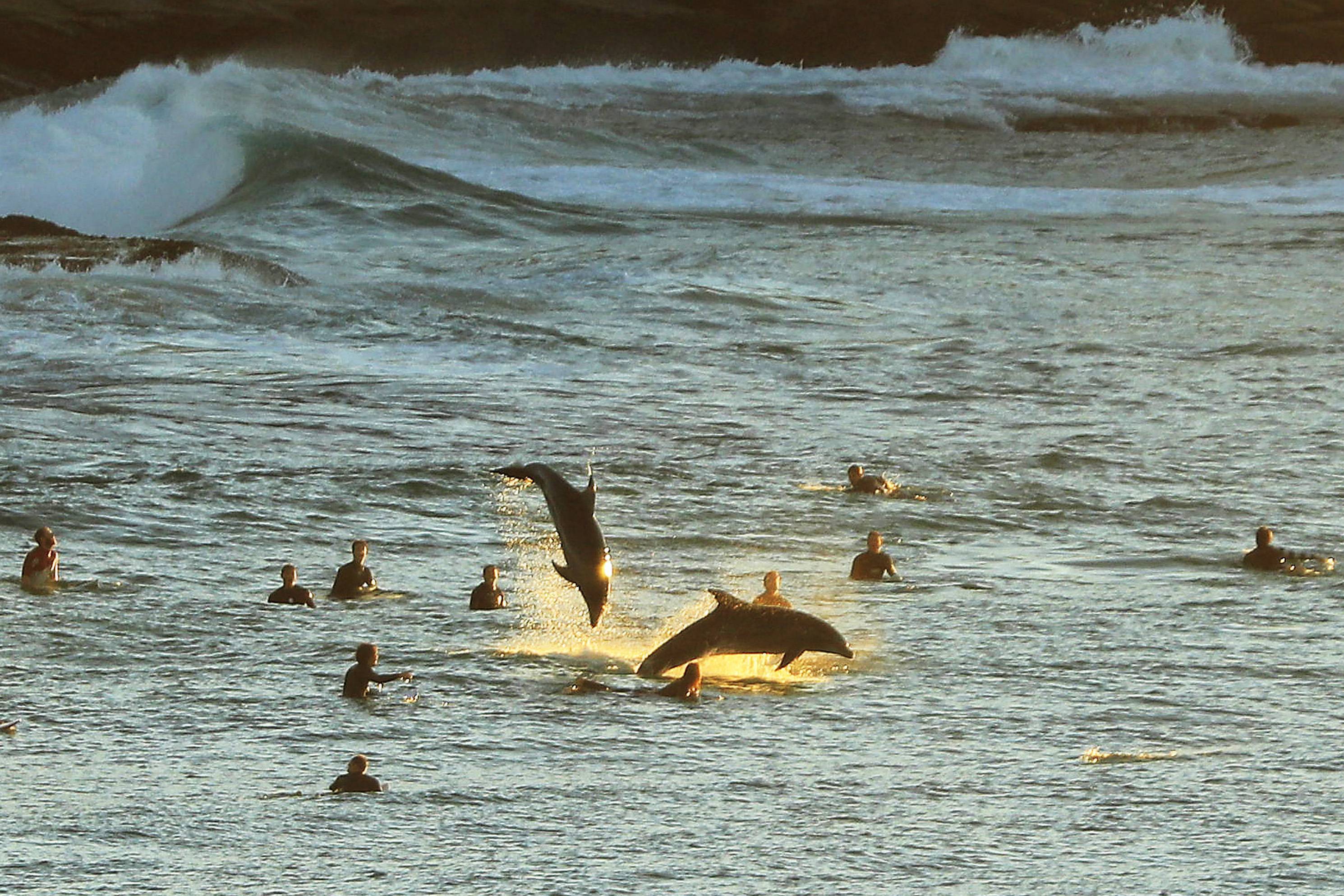 Вода вместо стула у грудничка