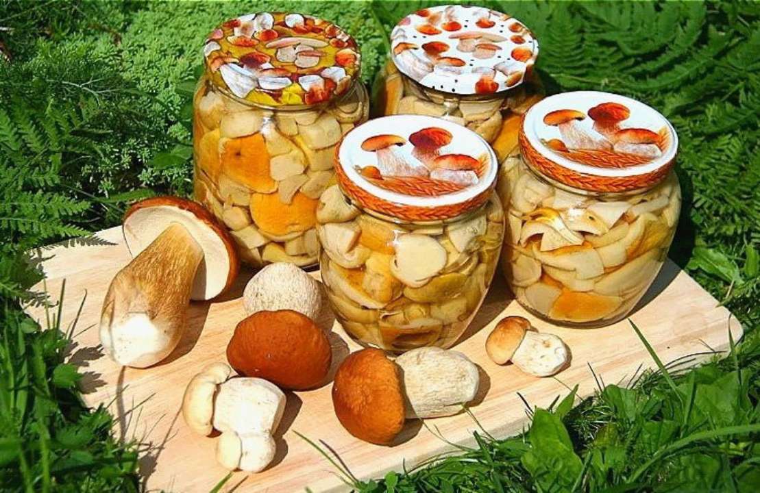 Белые грибы будут самыми вкусными: маринад по рецепту карпатского грибника  - МЕТА