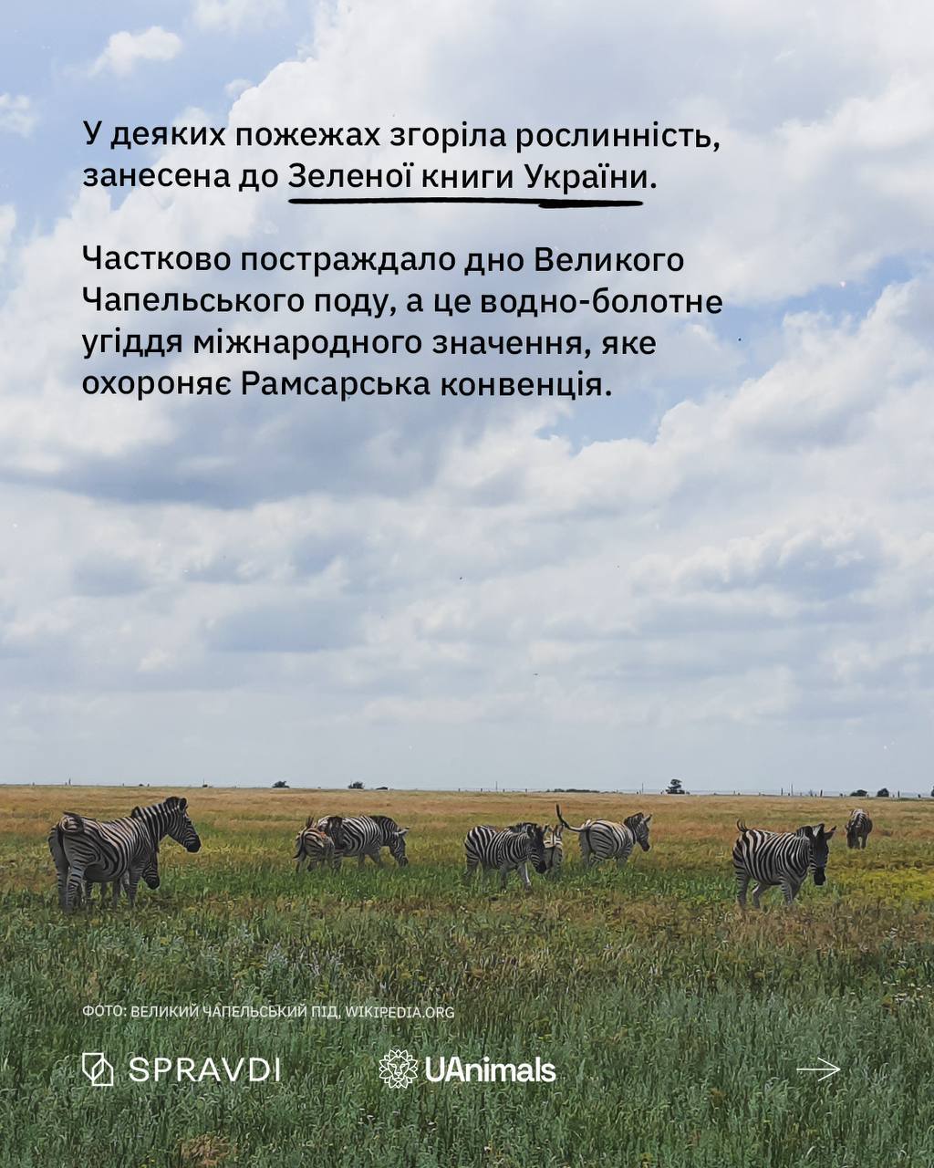 российские оккупанты уничтожают украинскую природу: выгоревшие заповедники,  убитые животные - МЕТА