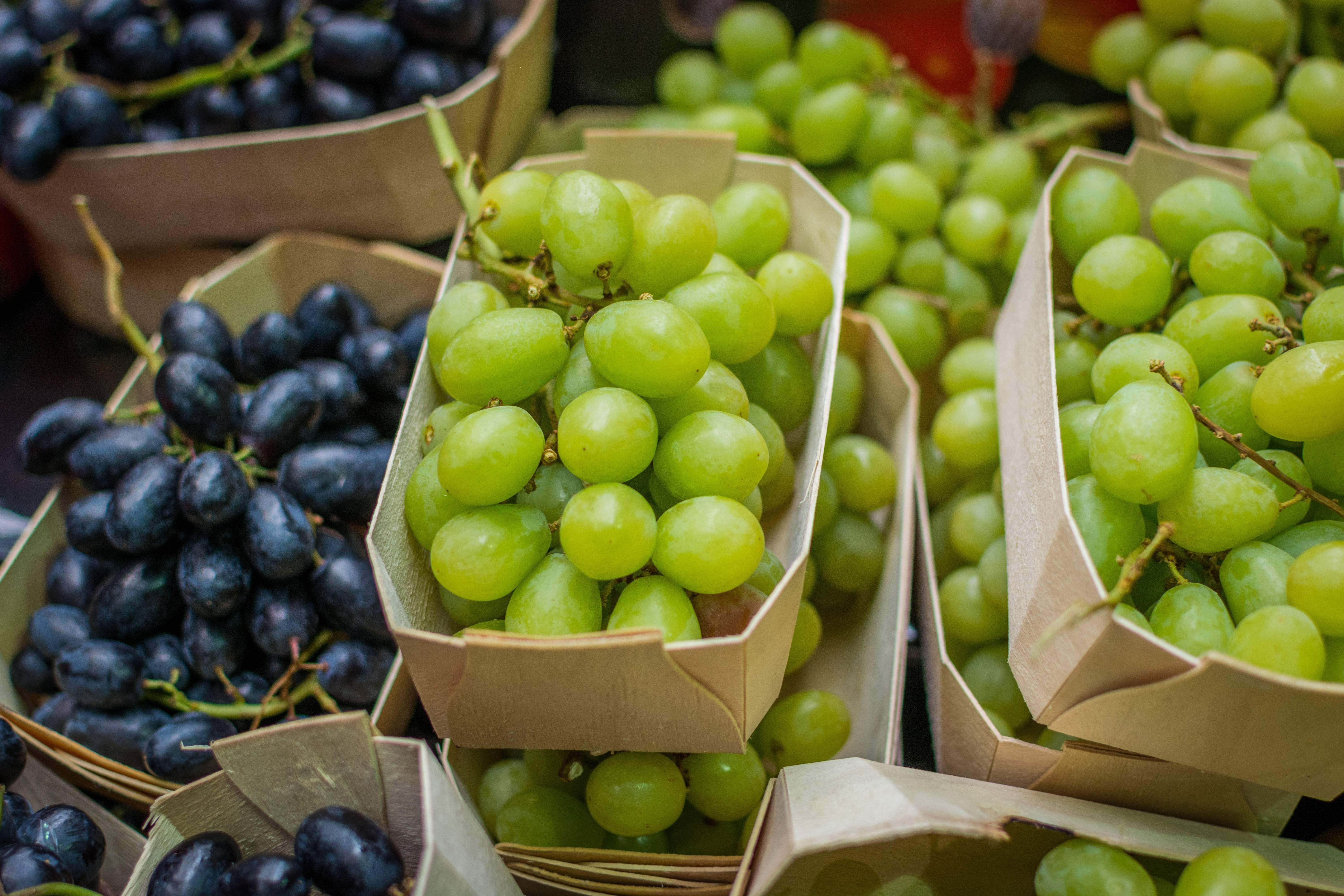 Маркет виноград. Свежий виноград. Виноград Маркет. Виноград продукт. Виноград семейство.