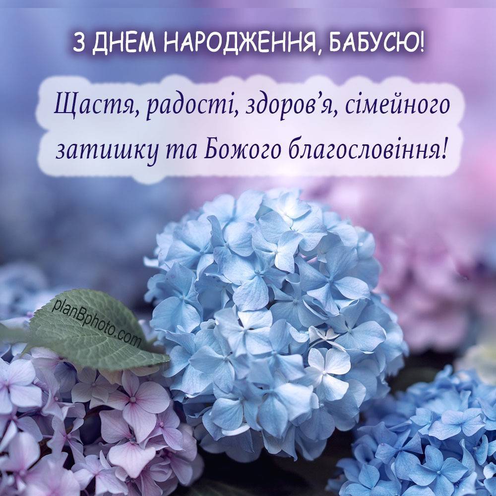 Вітання з днем народження бабусі: проза, вірші, листівки - МЕТА