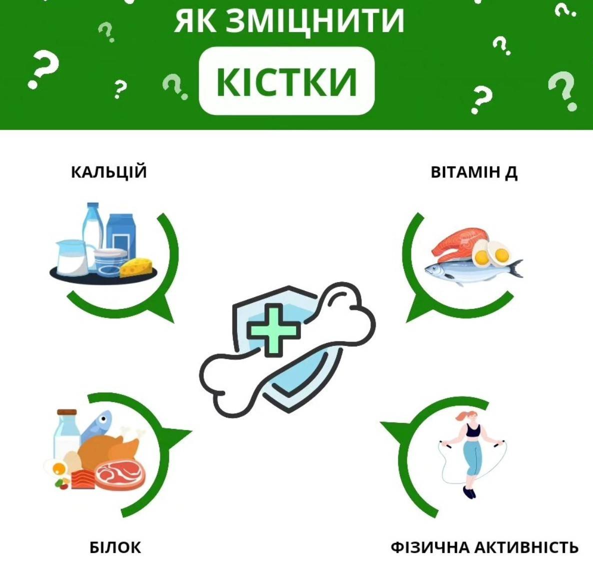 Остеопороз: как и чем укрепить кости? (ИНФОГРАФИКА) - МЕТА