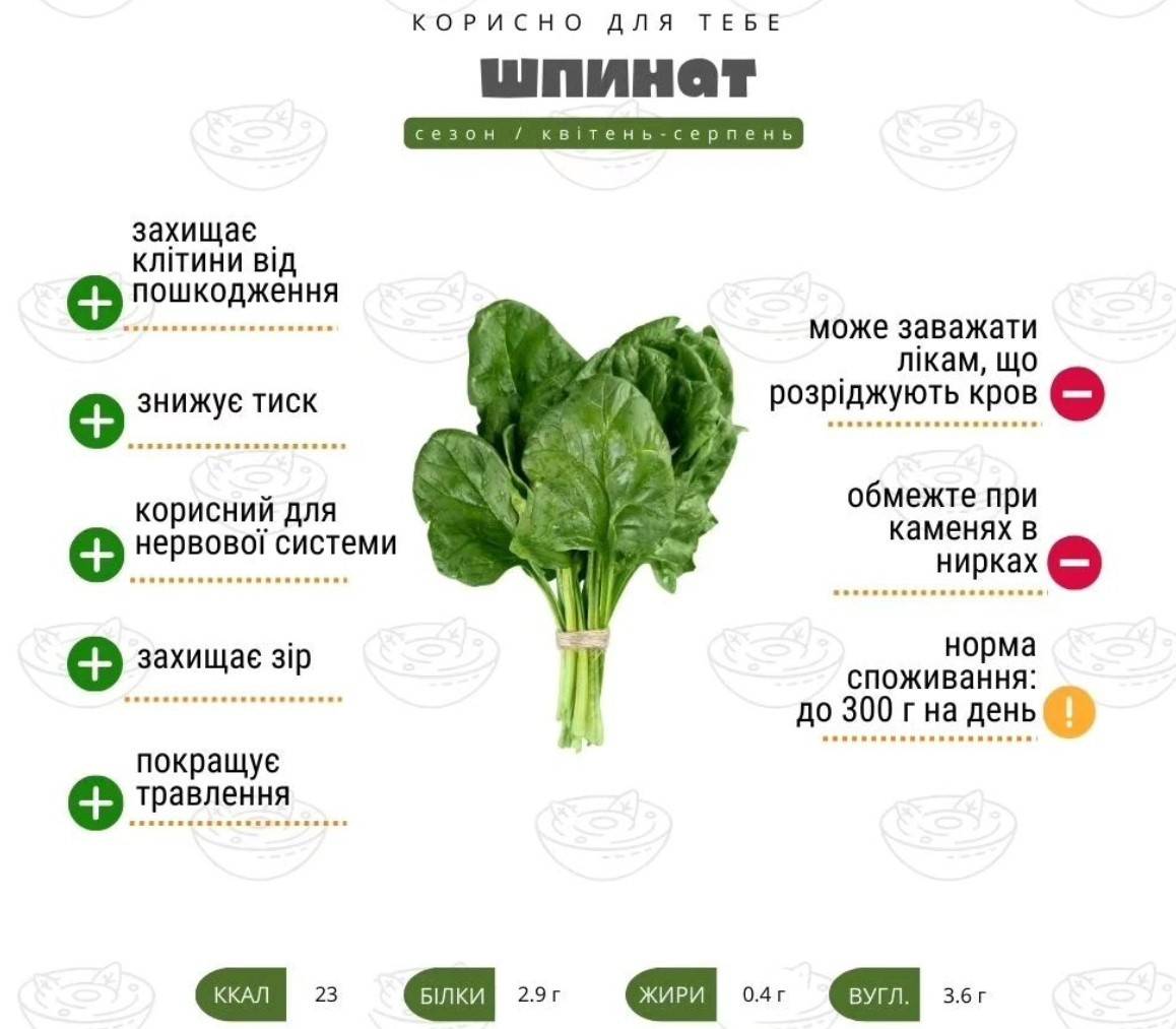 В чем сила шпината? Этот зеленый овощ связан с многочисленными  преимуществами для здоровья - МЕТА
